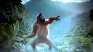 Танцы обезьян