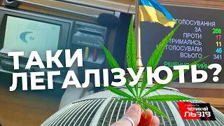 Чому депутати проголосували за легалізацію медичного канабісу?