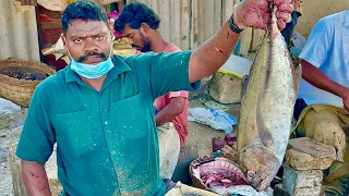 SELVAM FISH CUTTING VIDEO | ROCKET SPEED SELVAM FISH CUTTING |  #KASIMEDUFISHMARKET | UK SONS MARINE