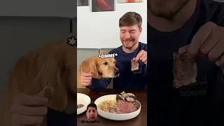 feeding A dog 1$ vs 10000$ steak