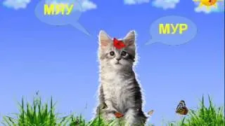 Говорят животные!!! Funny cat compilation360p