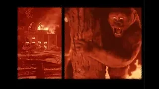 The Burning Orphanage Scene From "MIGHTY JOE YOUNG" (1949)