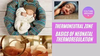 Thermoneutral zone and basics of neonatal thermoregulation. Dr Sridhar Kalyanasundaram