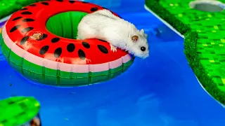 Pool Maze for Hamster!  MINECRAFT WORLD!