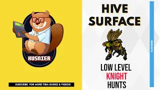 Hive Surface | 70+ Knight | 450 k/h raw | Tibia