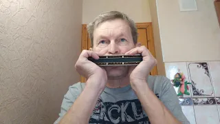 Я - твой рокенрол - KUZMIN ABSOLUTE BAND - Harmonica Larry Adler