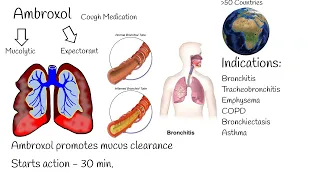 Ambroxol - Uses, mechanism of action.  Most popular cough medication?