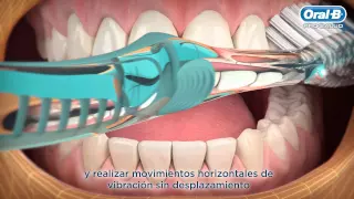 Técnica correcta para el cepillado de dientes | Oral B LT