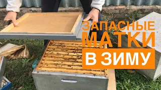 ✅Запасные матки в зиму до весны, двухматочное содержание пчелосемей. ( зимовка слабых отводков ).