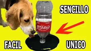 Como Hacer Bebedero Automatico para Mascotas el mas simple y facil del mundo