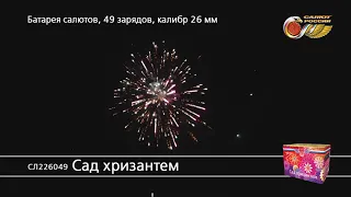 СЛ226049 Сад хризантем Батарея салютов 49 залпов высотой до 26 м, калибром 1 дюйм