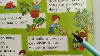 Кольорові сторінки природи: літо. 2 клас НУШ