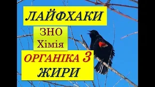 ЛАЙФХАКИ ДЛЯ ЗНО ХІМІЯ | ЖИРИ, ТРИГЛІЦЕРИДИ, ЛІПІДИ