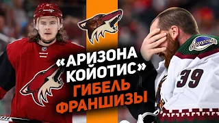 «Аризона Койотис»: самый провальный проект НХЛ. Почему хоккей в пустыне не прижился?