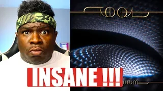 FIRST TIME HEARING - TOOL - Descending (Audio) REACTION