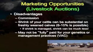 Lecture 18 part 8- Marketing Options for Beef Cattle