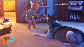 Playing baby and dog funny video