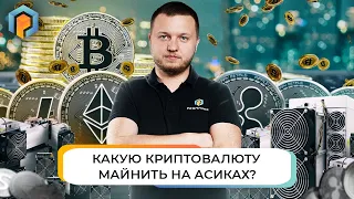 Биткоин или Альткоины? Какую валюту майнить на Асиках? Майнинг криптовалюты. Promminer