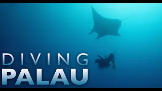 Diving Palau Part 1