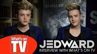 Jedward: ‘We could get an Emmy for Sharknado 3: Oh Hell No!’