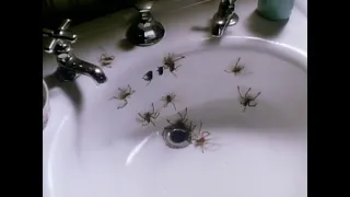 Arachnophobia (1990) Theatrical Trailer