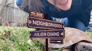 Julien Chang — "Home for the Moment" | Neighborhoods (Live in Somerville, MA)