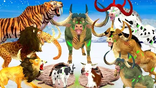 Giant Lion Tiger vs 10 Big Bull Zombie Cow Buffalo Saved By Woolly Mammoth Elephant vs Monster Lion