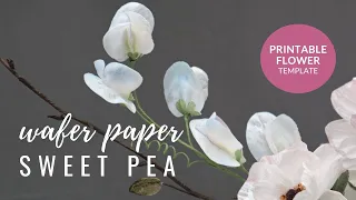 How to make Sweet Pea Flowers for cake decorating using wafer paper | Modern Cakes and Florals