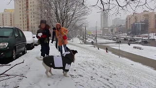 Минск. Прогулка зимняя с Жади у Стелы. 29.11.2015г. Беларусь.