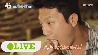 One Night Food Trip 2017 헤밍웨이의 단골집! 조준호를 녹이는 '새끼돼지 통구이' 171115 EP.40