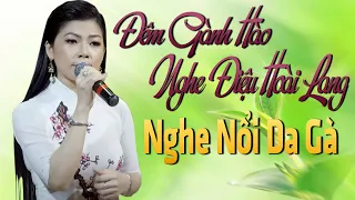 Đêm Gành Hào Nghe Điệu Hoài Lang - Những Bài Dân Ca Miền Tây Sông Nước Nổi Da Gà Khi Nghe