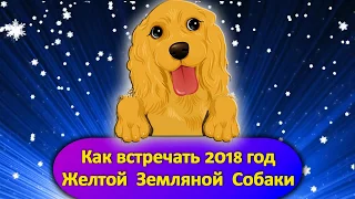 Как встречать 2018 год Собаки