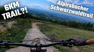 LÄNGSTER TRAIL DEUTSCHLANDS ?! Der Alpirsbacher Schwarzwaldtrail in Sasbachwalden