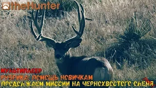 theHunter Classic/Рубрика:помощь новичкам/чернохвостый олень - миссии ч.2/multiplayer