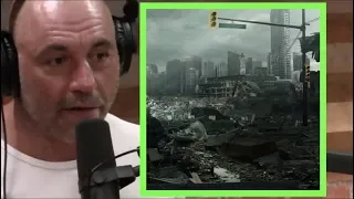 What Would Joe Rogan Do in the Apocalypse?