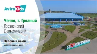 Детский развлекательный центр Зелёный вьюн/Грозненский дельфинарий