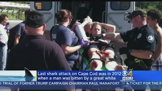 Truro Shark Bite Was First Attack Off Cape Cod Since 2012