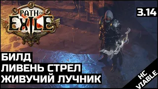 Билд Ливень стрел | Чемпион | Path of Exile 3.14