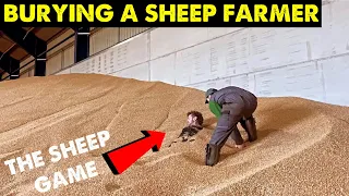 BURYING A SHEEP FARMER | FIRST CALF BORN #CRAWFORDFARMS #199