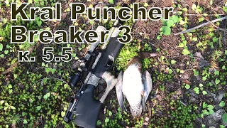 Охота на утку с пневматикой Kral Puncher Breaker 3, калибр 5.5