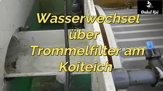 Wasserwechsel am Koiteich!