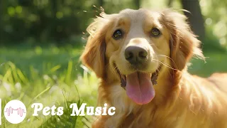 Soothing Music for Dog to Calm Down, Relax & Sleep | Dog Music Therapy Calming Aid for Relaxation