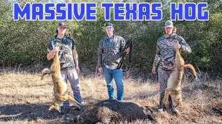 300 Win Mag V. HUGE Boar! (Texas Trip Part 2)