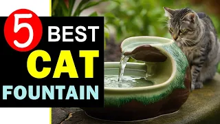 Best Cat Fountain 2024 🏆 Top 5 Best Cat Fountain Reviews