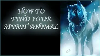 How To Find Your Spirit Animal