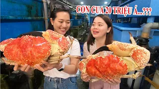 Phạm Dũng chi 20 triệu ăn một con Cua Khổng lồ Úc Tasmania nặng 6kg ở vựa hải sản Calisa