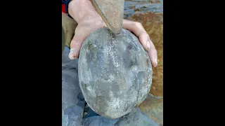 HUGE Round Stone CRACKED! Golden Fossils Inside?! 🤯 #beach #treasure