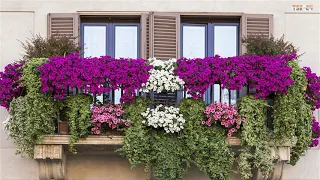 Best Small Balcony Garden Design Ideas - Beautiful House