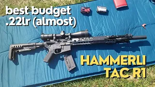 Accuracy & Precision with Suppressor | Hammerli Tac R1 .22lr Rifle