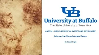 Aging and the Musculoskeletal System